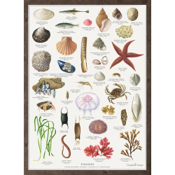 Plakat A2: Stranden