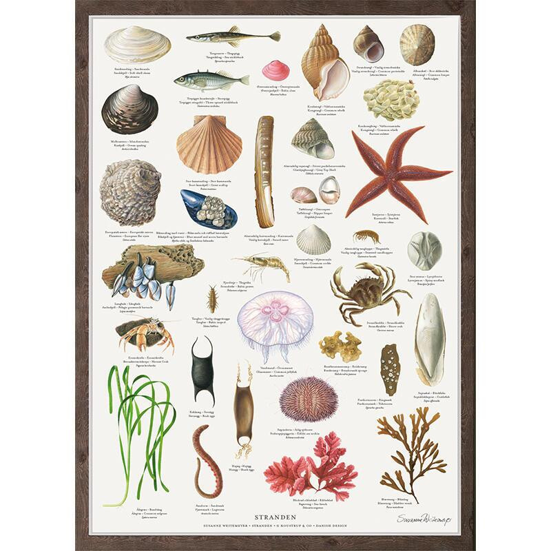 Plakat A2: Stranden
