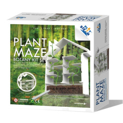Plante labyrint