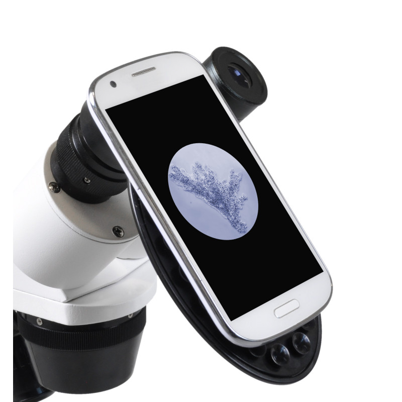 BRESSER Erudit ICD 20x-40x | Stereo Mikroskop  - Treasurehunter.dk
