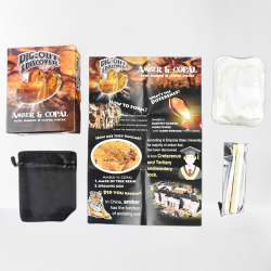 DIG-OUT & DISCOVER - RAV & KOPAL