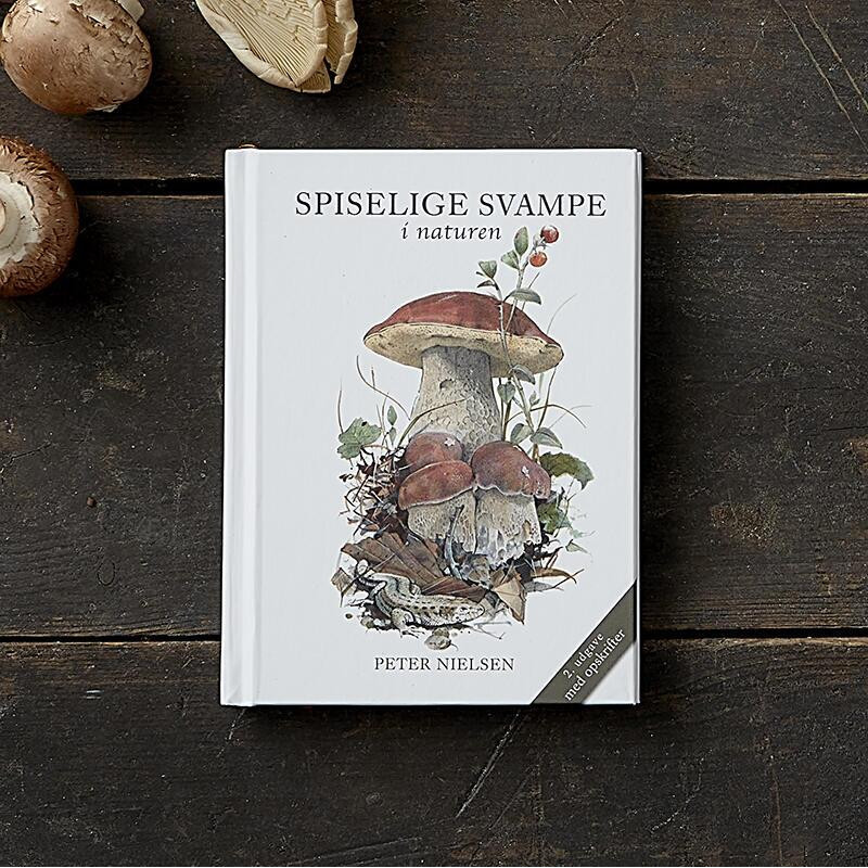 Bog: Spiselige svampe i naturen - Treasurehunter.dk