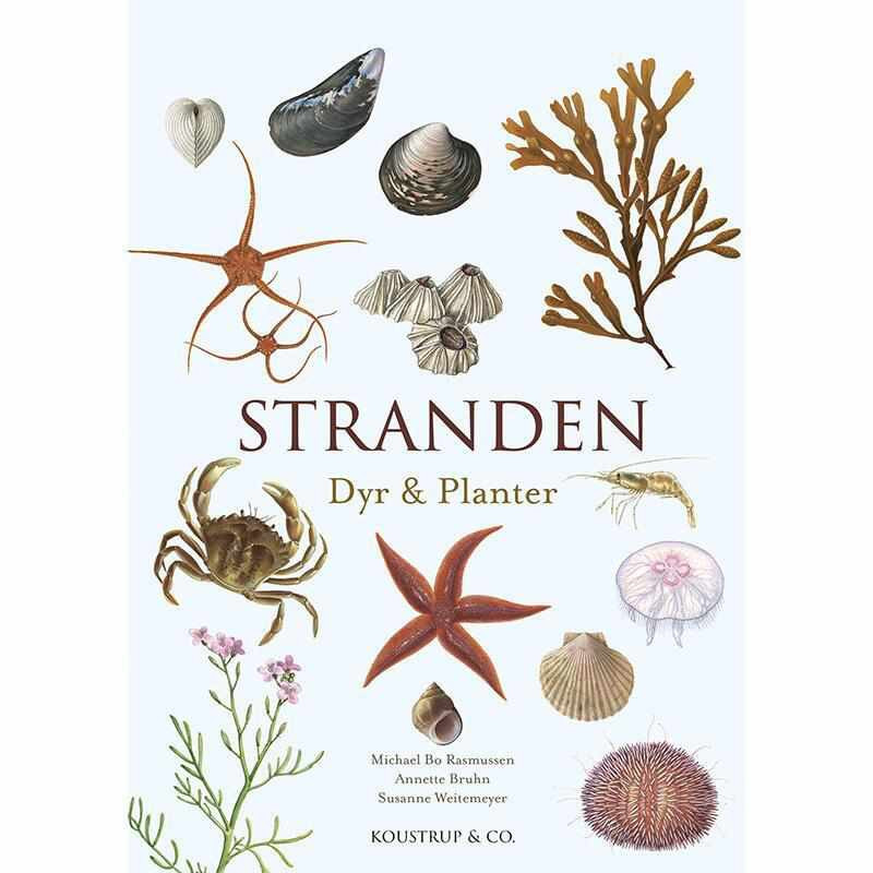 Bog: Stranden Dyr og planter - Treasurehunter.dk