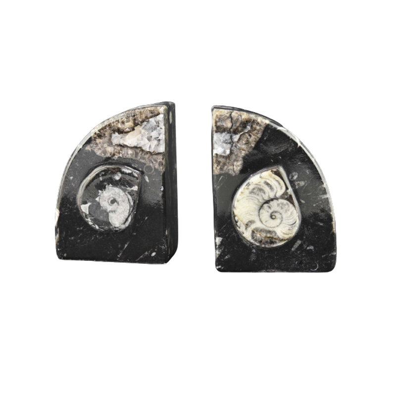BOGSTØTTE - AMMONIT FOSSIL - Treasurehunter.dk