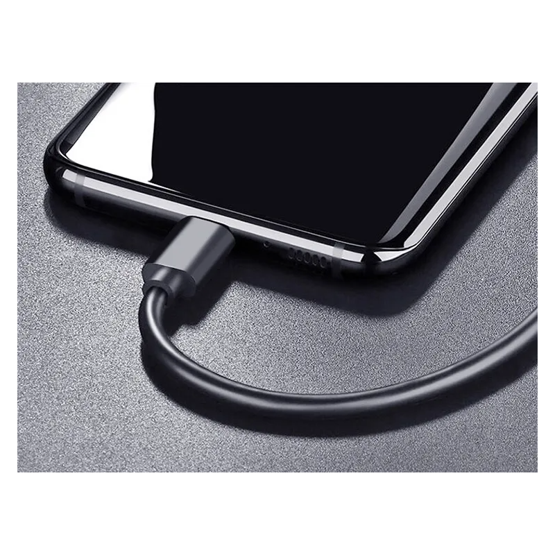 GLOBUZ USB-C til USB-A - Treasurehunter.dk