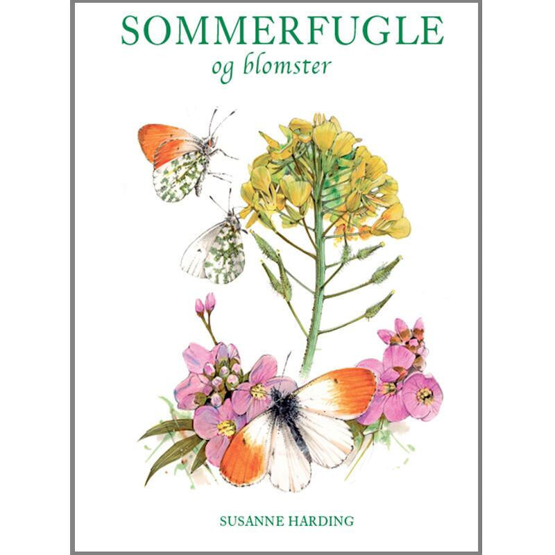 Bog: Sommerfugle og blomster - Treasurehunter.dk