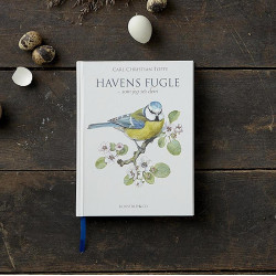 Bog: Havens fugle - Treasurehunter.dk
