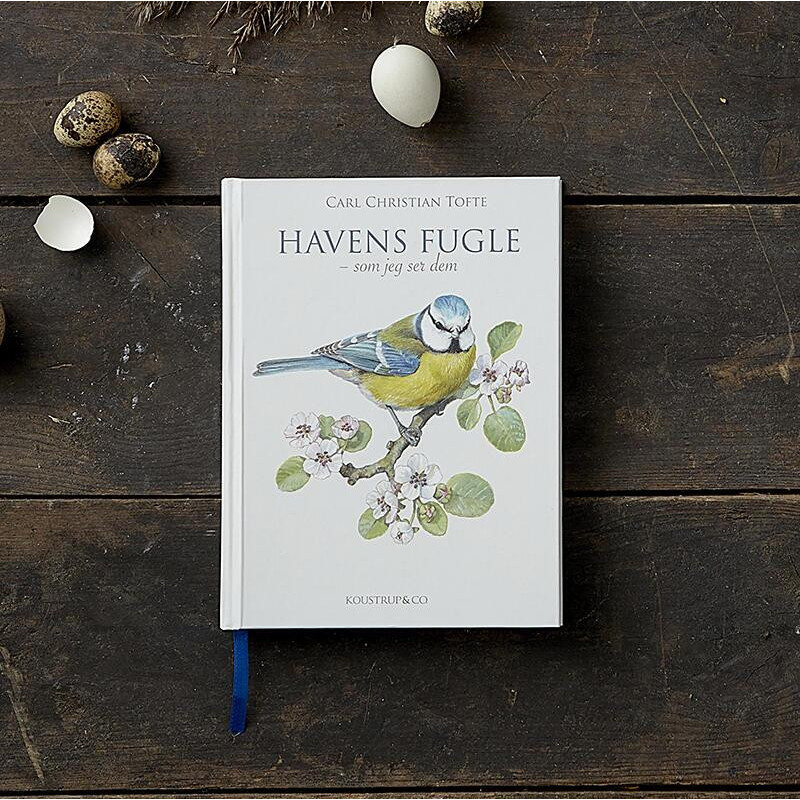 Bog: Havens fugle - Treasurehunter.dk
