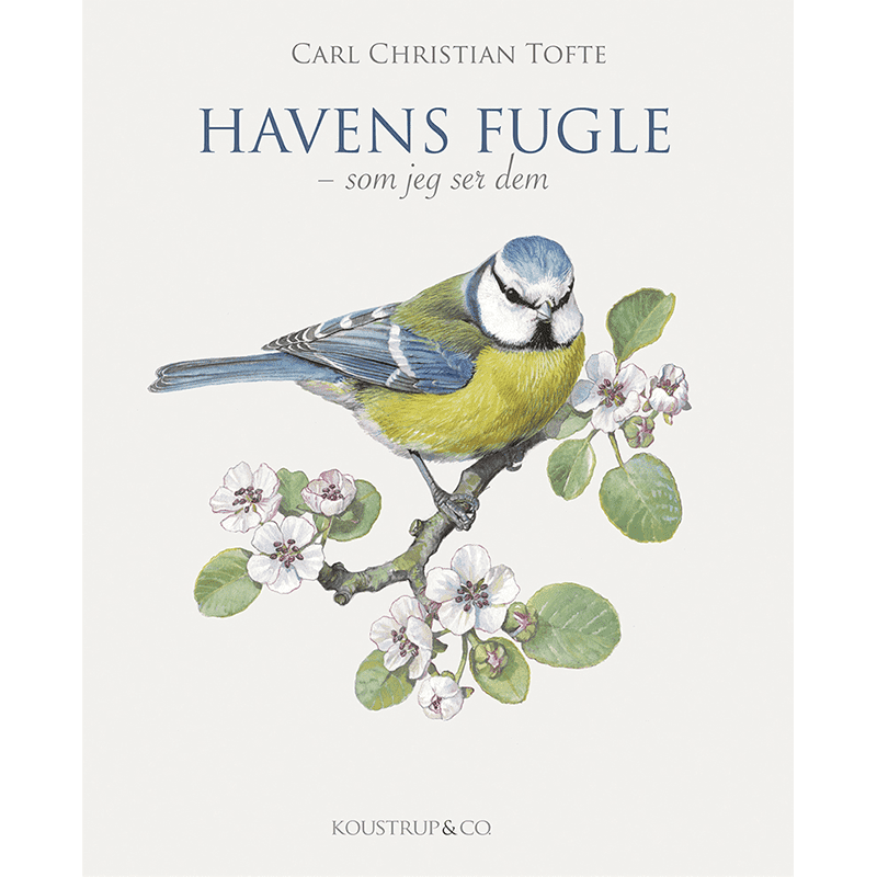 Bog: Havens fugle - Treasurehunter.dk