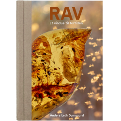 Rav - Et vindue til fortiden | Ravlygter og tilbehør - Treasurehunter