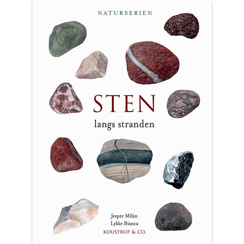 Bog: Fossiler langs stranden - Treasurehunter.dk