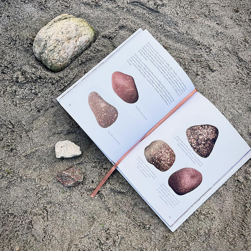 Bog: Fossiler langs stranden - Treasurehunter.dk