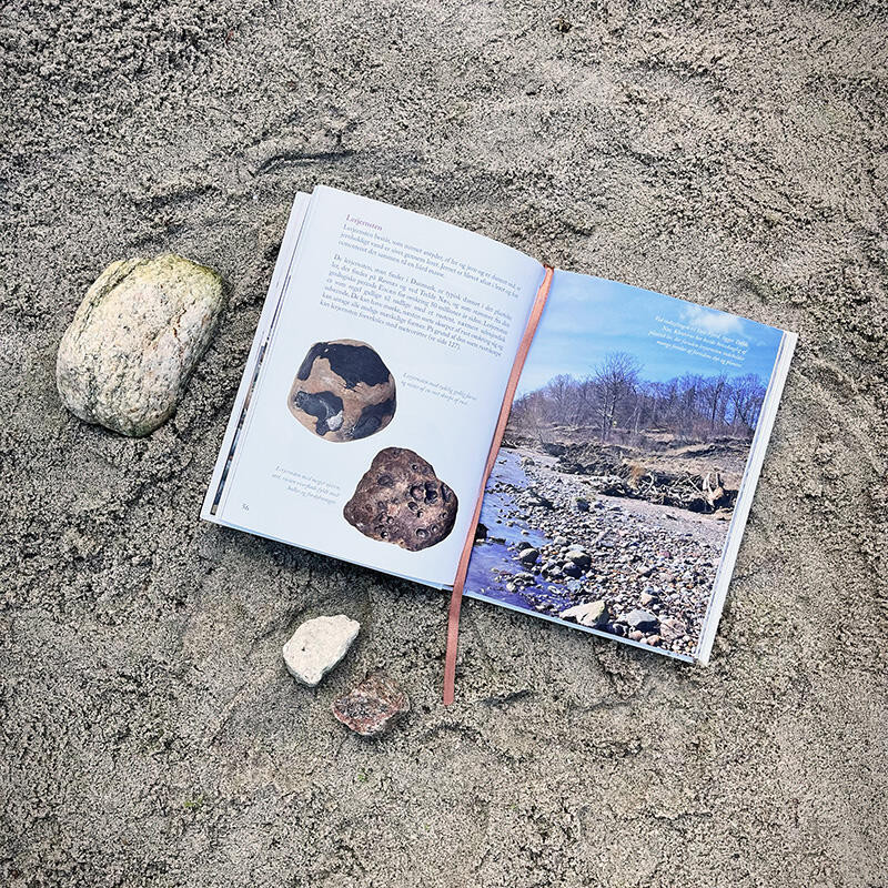 Bog: Fossiler langs stranden - Treasurehunter.dk