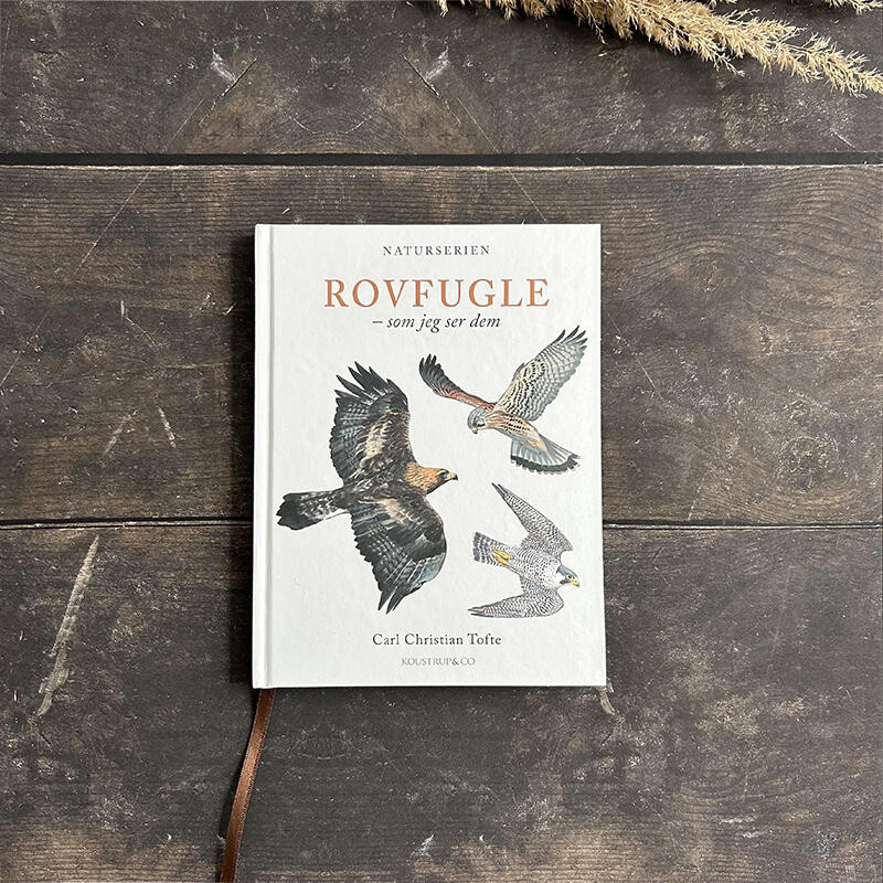 Bog: Rovfugle – Som jeg ser dem - Treasurehunter.dk