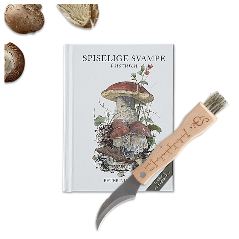Sanke sæt - Treasurehunter.dk