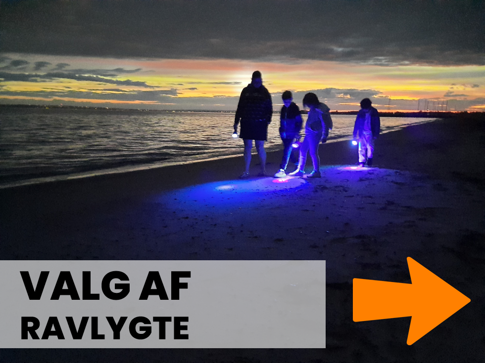 Ravjagt