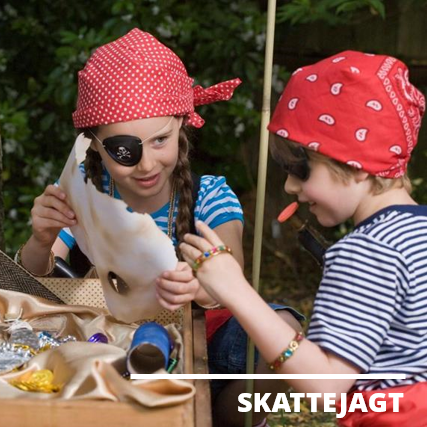 skattejagt